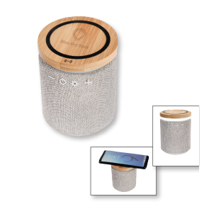 Ultra Sound Speaker and Wireless Charger